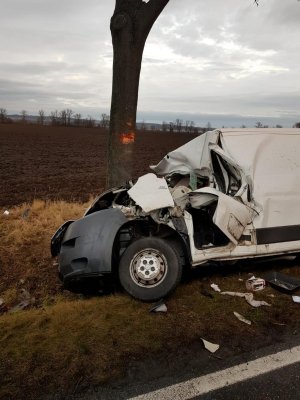 Przód białego Fiata Ducato po wypadku w rowie obok drzewo  które uderzono