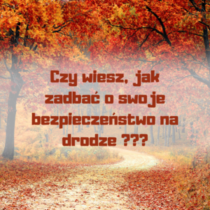 Na grafice znajduje się polna droga, dookoła jej drzewa z liśćmi, które opadają. 

Na grafice znajduje się również napis: Czy wiesz, jak zadbać o swoje bezpieczeństwo na drodze ???