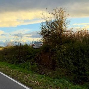 Pojazd uczestniczący w zdarzeniu