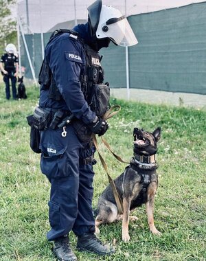 policjanci podczas zabezpieczenia meczu