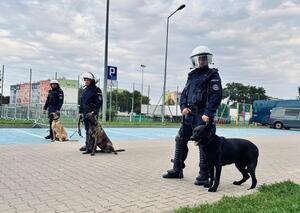 policjanci podczas zabezpieczenia meczu