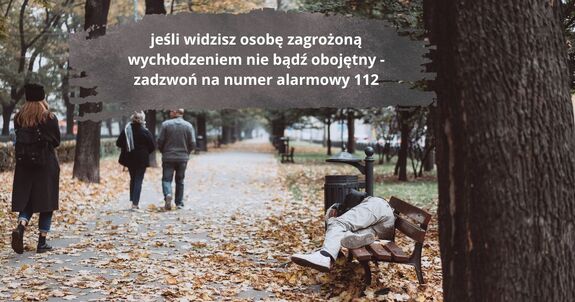 osoba leżąca na ławce w parku